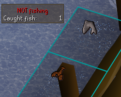 Fishing