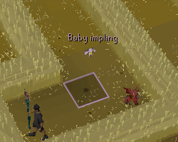 Impling finder