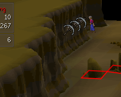 Motherlode Mine